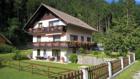 Гостиница Apartments Mertelj, Краньска Гора